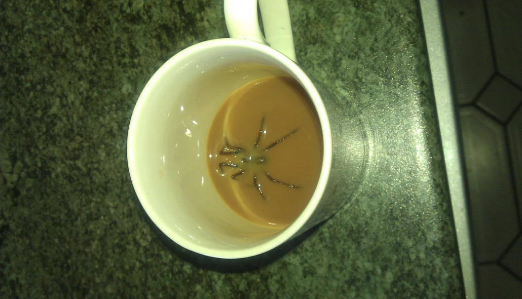 spider in coffee mug