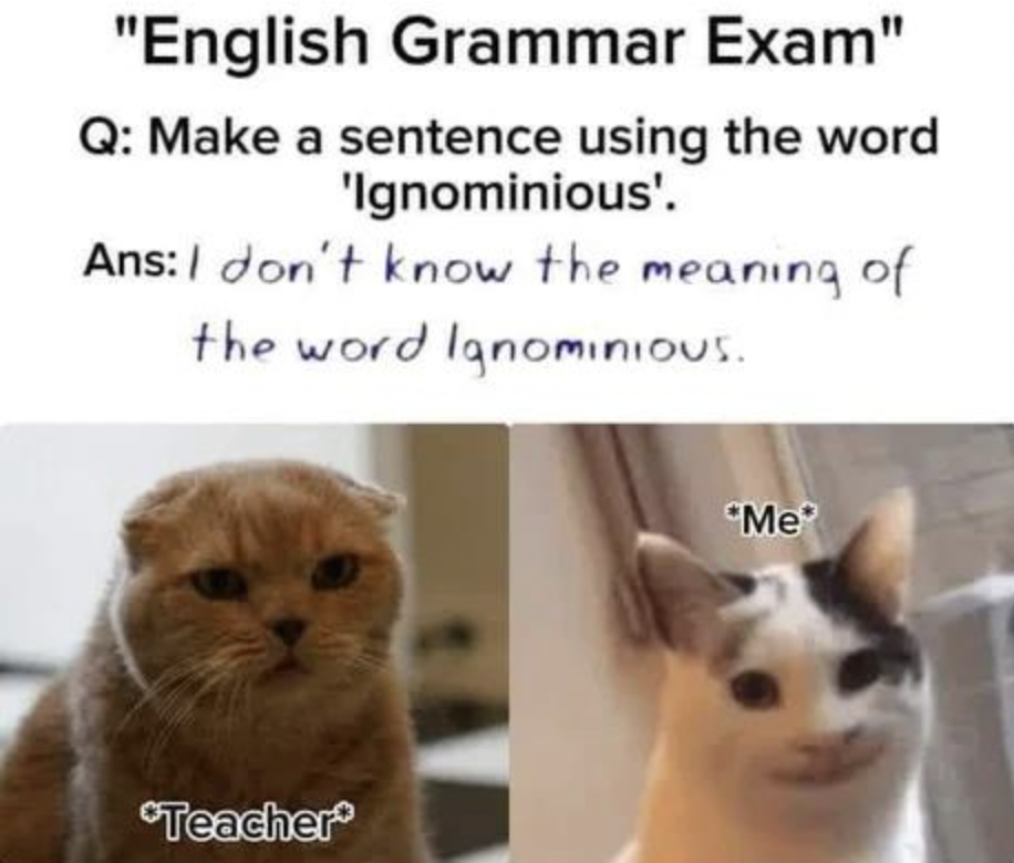 cat awkward smile meme - "English Grammar Exam" Q Make a sentence using the word 'Ignominious'. Ans I don't know the meaning of the word Ignominious. Teacher Me