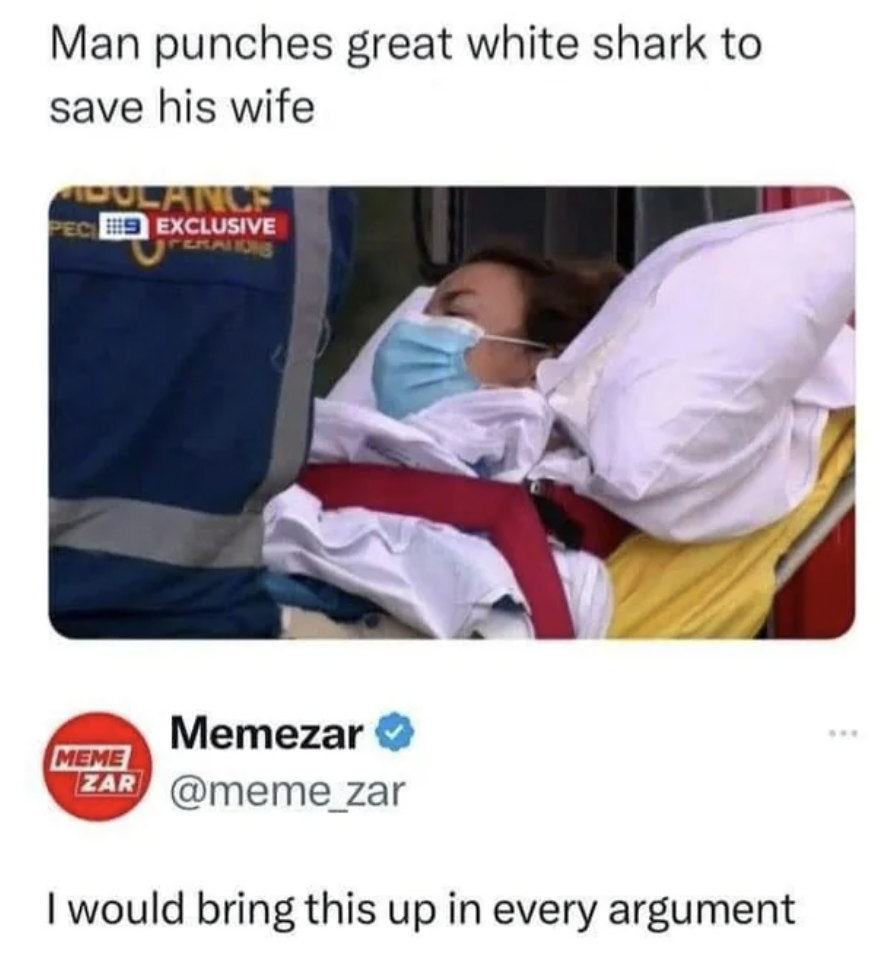 man punches shark to save wife meme - Man punches great white shark to save his wife Dulance Peci Exclusive Perations Meme Memezar Zar I would bring this up in every argument