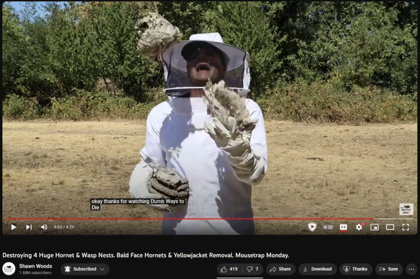 screenshot - okay thanks for watching Dumb Ways to Die Destroying 4 Huge Hornet & Wasp Nests. Bald Face Hornets & Yellowjacket Removal Mousetrap Monday. Shawn Woods Subscribed 4197 Download Thanks Save