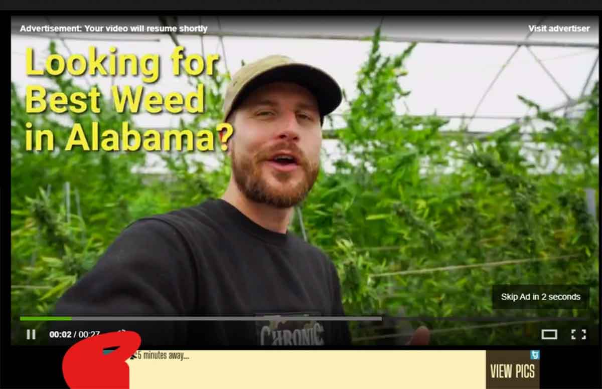 photo caption - Advertisement Your video will resume shortly Looking for Best Weed in Alabama? Visit advertiser Ii Skip Ad in 2 seconds 45 minutes away... Chronic View Pics