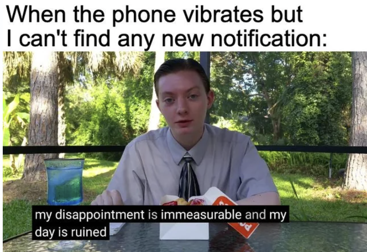 my disappointment is immeasurable and my day - When the phone vibrates but I can't find any new notification my disappointment is immeasurable and my day is ruined