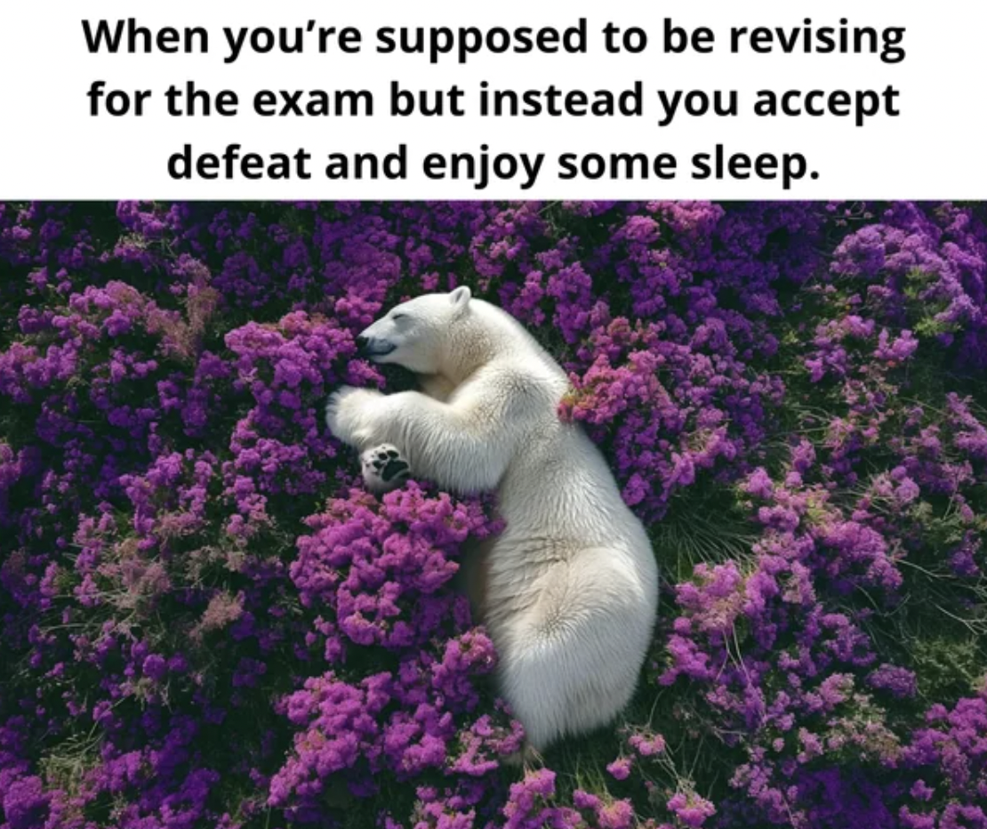 polar bear in flowers - When you're supposed to be revising for the exam but instead you accept defeat and enjoy some sleep.