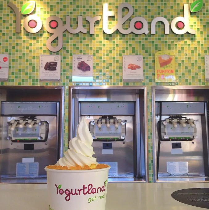 frozen yogurt shop - Fourtland Yogurtland get real