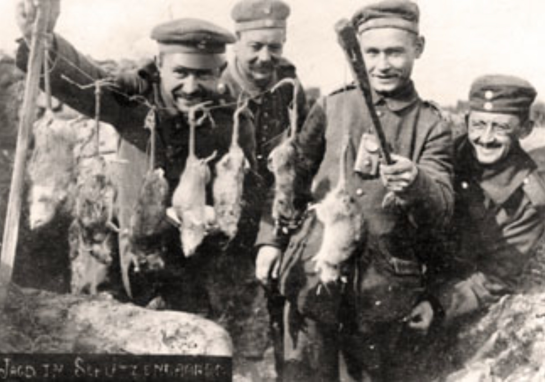 world war 1 rats