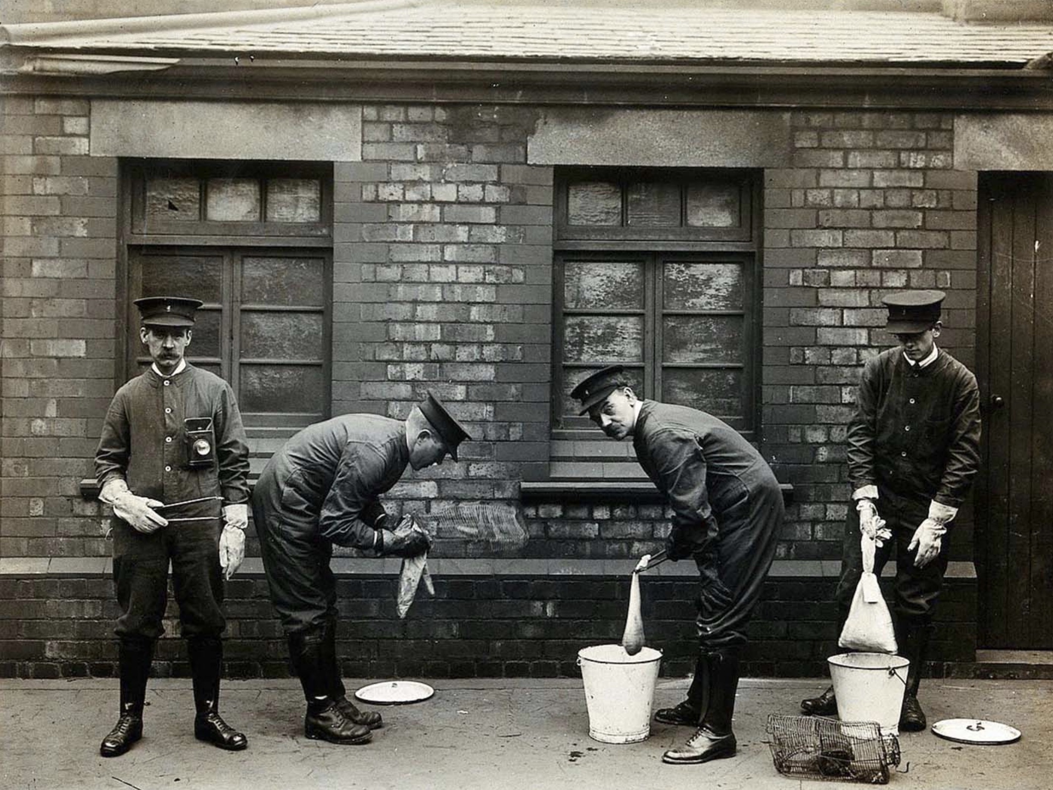 rat catcher 1900s