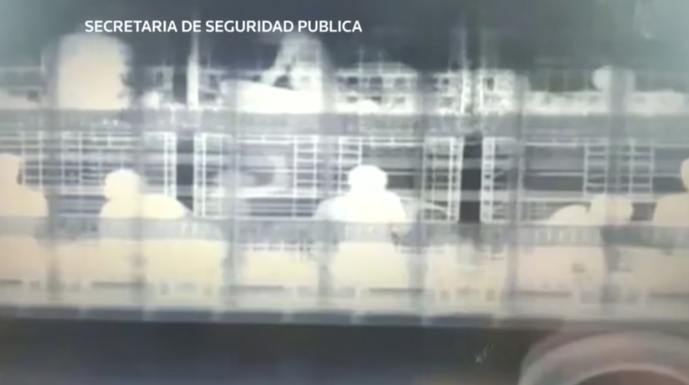 21 X-Ray Pics of Smugglers Caught at the Border