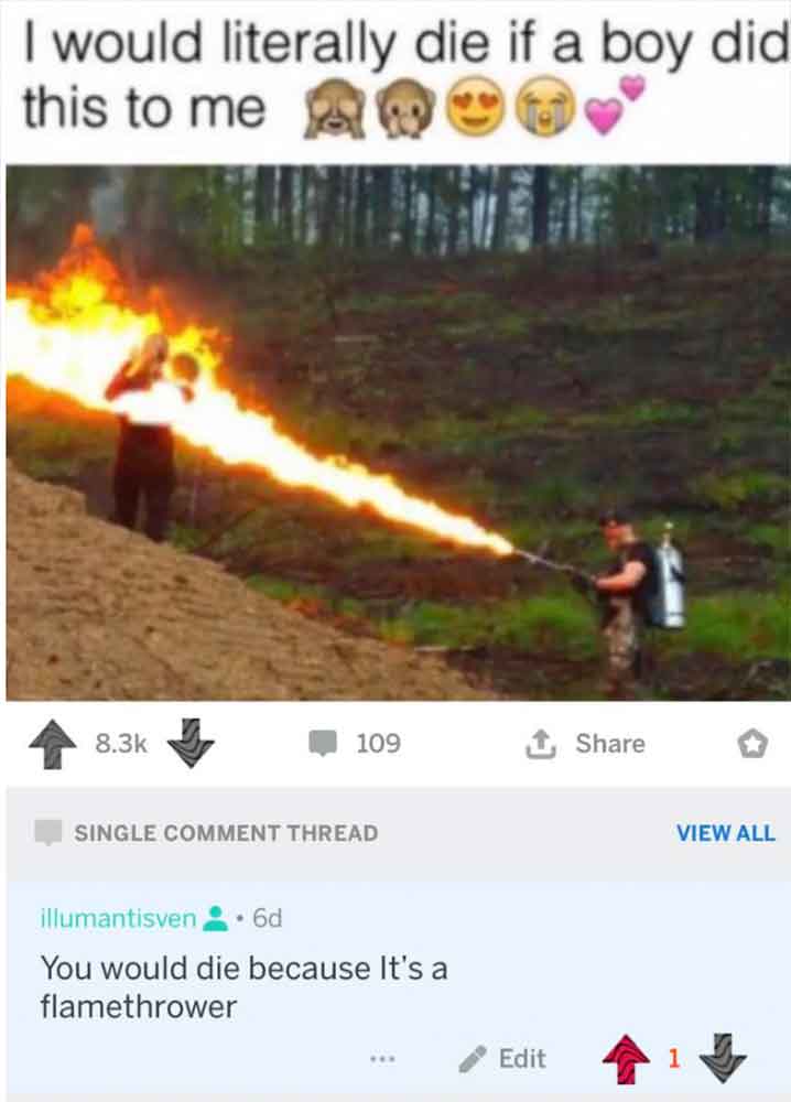 flamethrower meme - I would literally die if a boy did this to me 109 Single Comment Thread illumantisven6d You would die because It's a flamethrower Edit View All