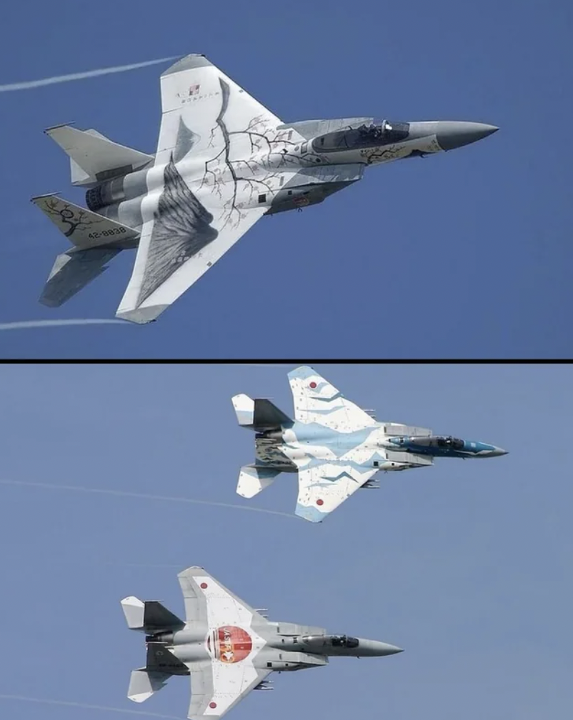 Japanese fighter jets with cool designs.