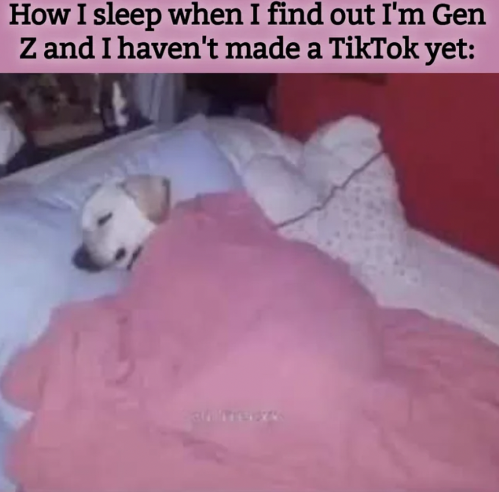 dog sleeping with blanket meme - How I sleep when I find out I'm Gen Z and I haven't made a TikTok yet