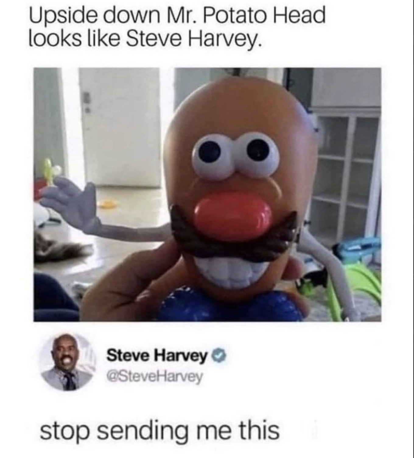 steve harvey mr potato head - Upside down Mr. Potato Head looks Steve Harvey. Steve Harvey stop sending me this 8