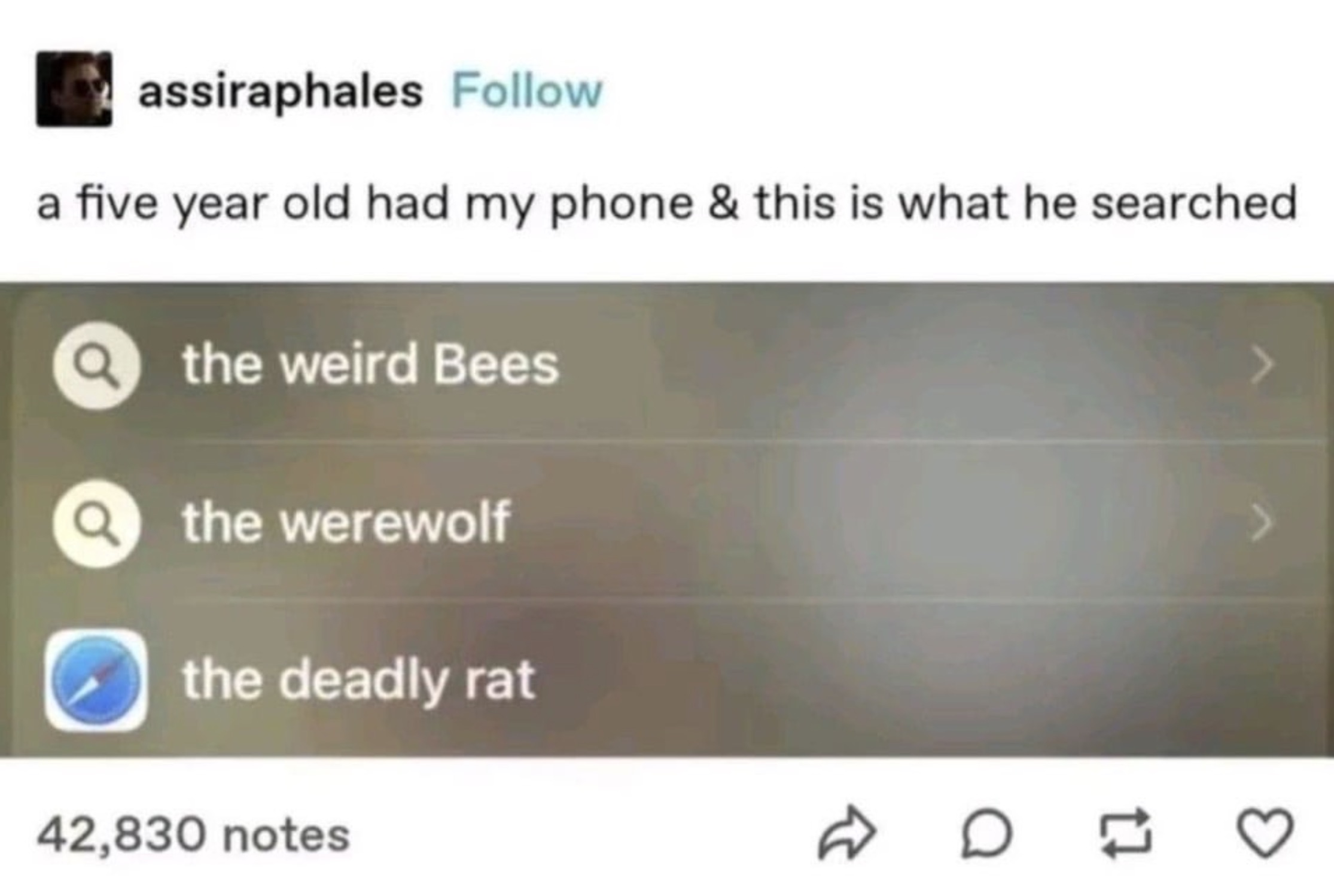 screenshot - assiraphales a five year old had my phone & this is what he searched the weird Bees the werewolf the deadly rat 42,830 notes Dd D