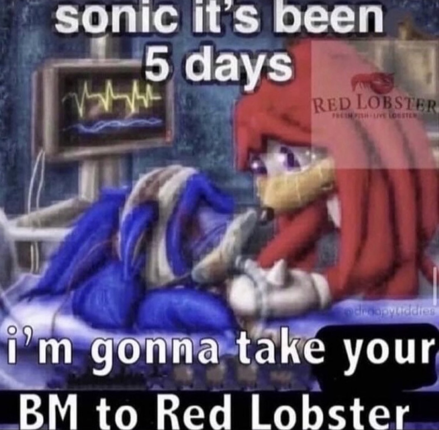 sonic it's been 5 days Red Lobster Fresh Fish Live Loester odroopyuddies i'm gonna take your Bm to Red Lobster