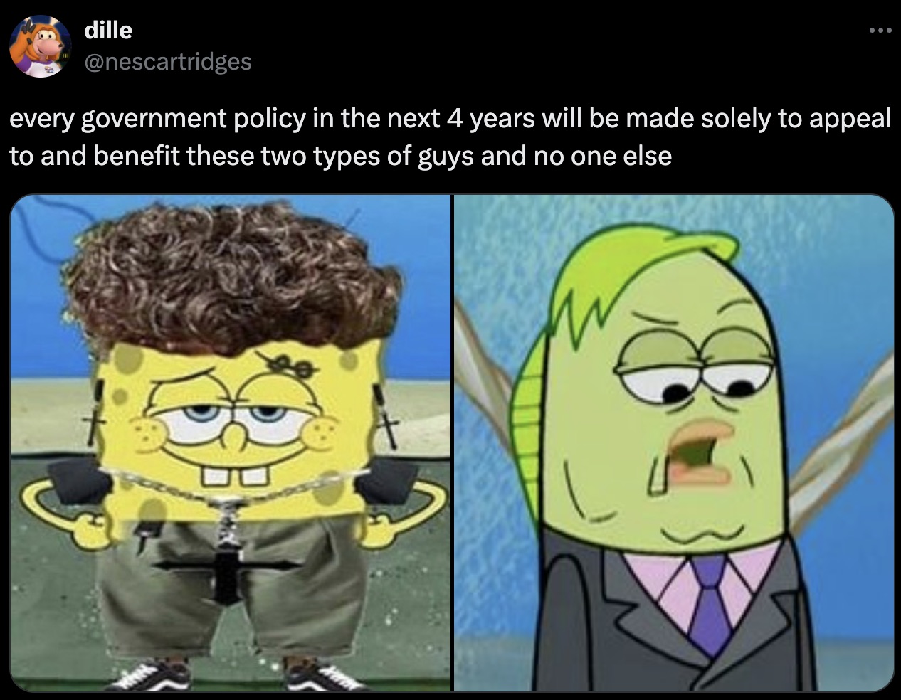 Internet meme - dille every government policy in the next 4 years will be made solely to appeal to and benefit these two types of guys and no one else