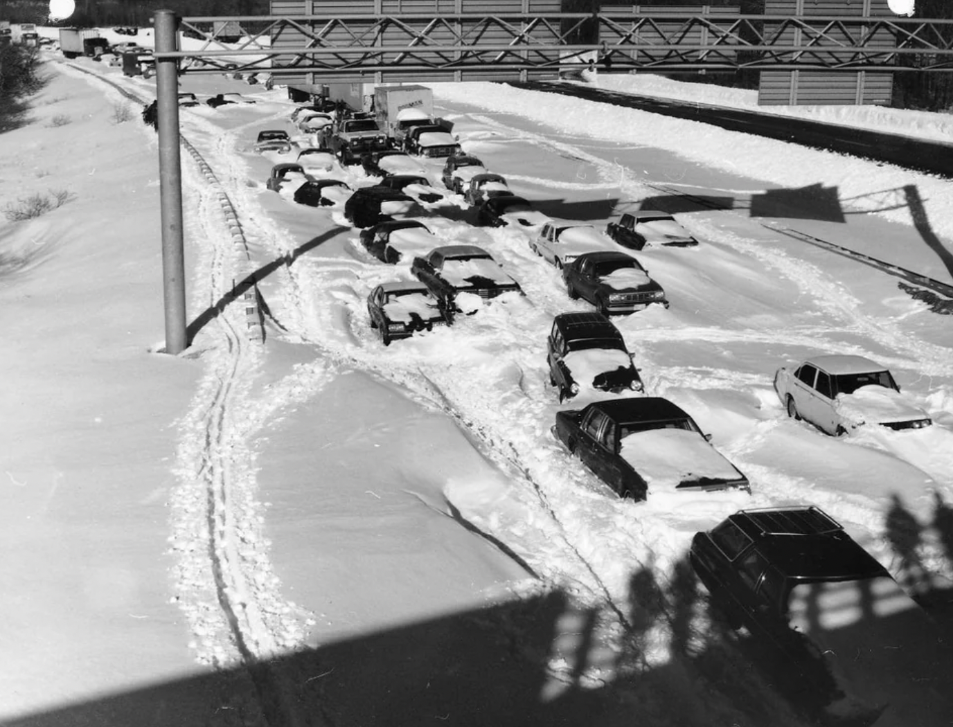 blizzard of 78 ct