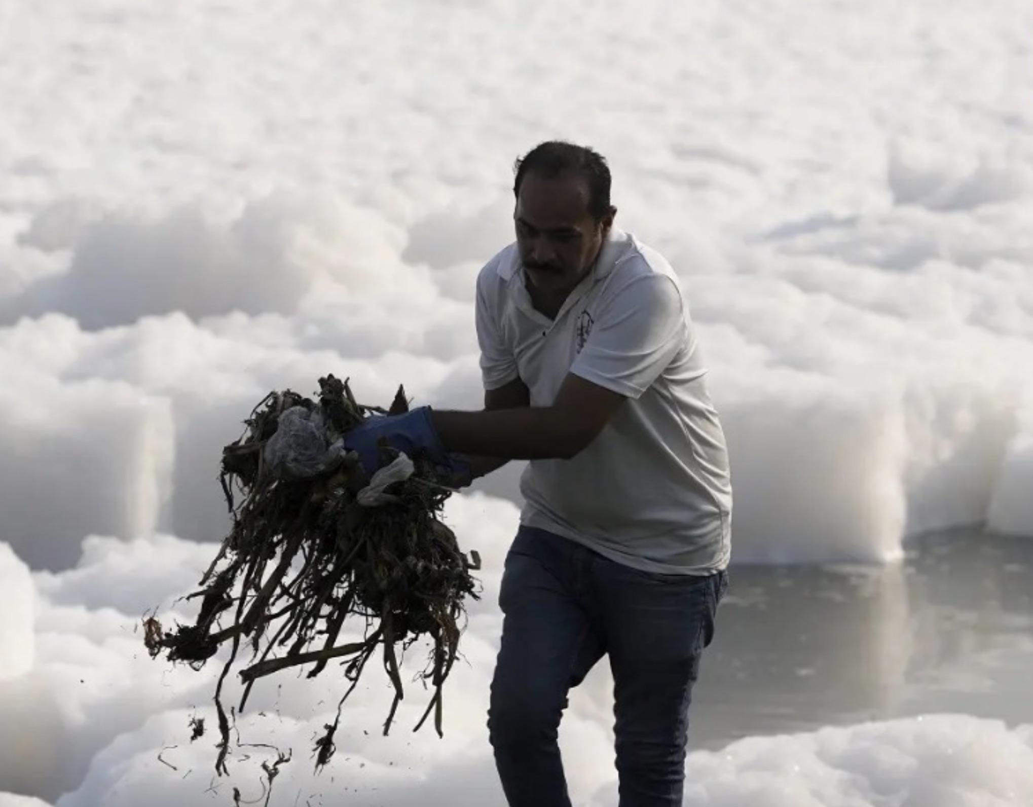 yamuna river toxic foam