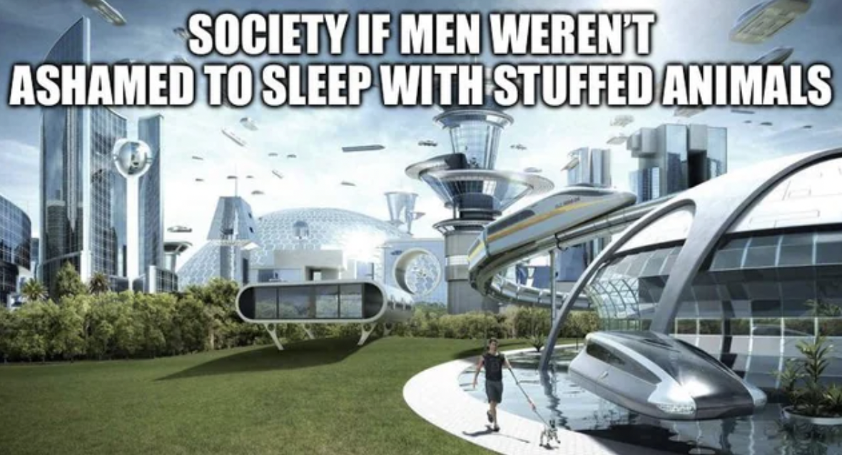 world if meme - Society If Men Weren'T Ashamed To Sleep With Stuffed Animals