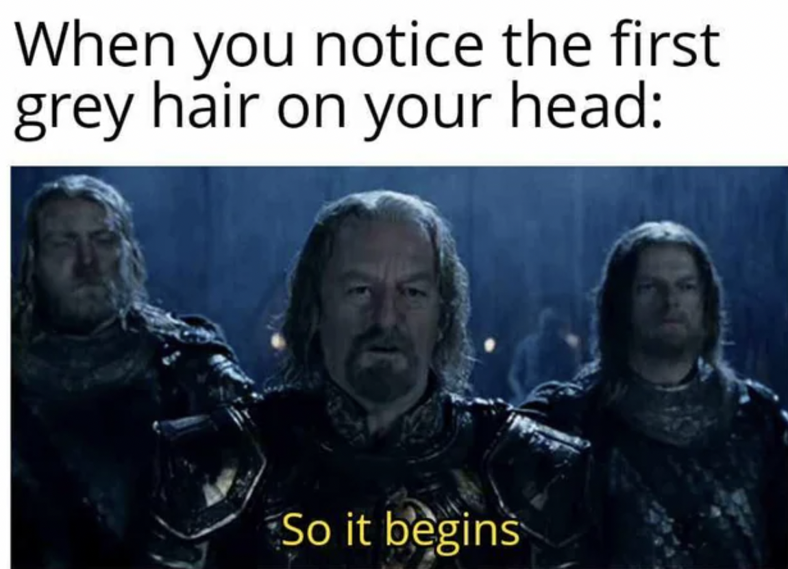 bernard hill lord of the rings - When you notice the first grey hair on your head So it begins