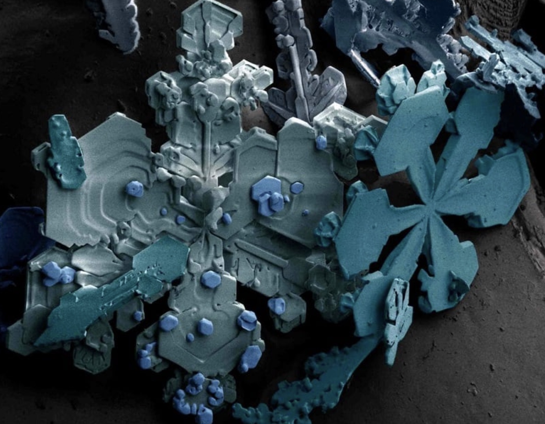 scanning electron microscope snowflake