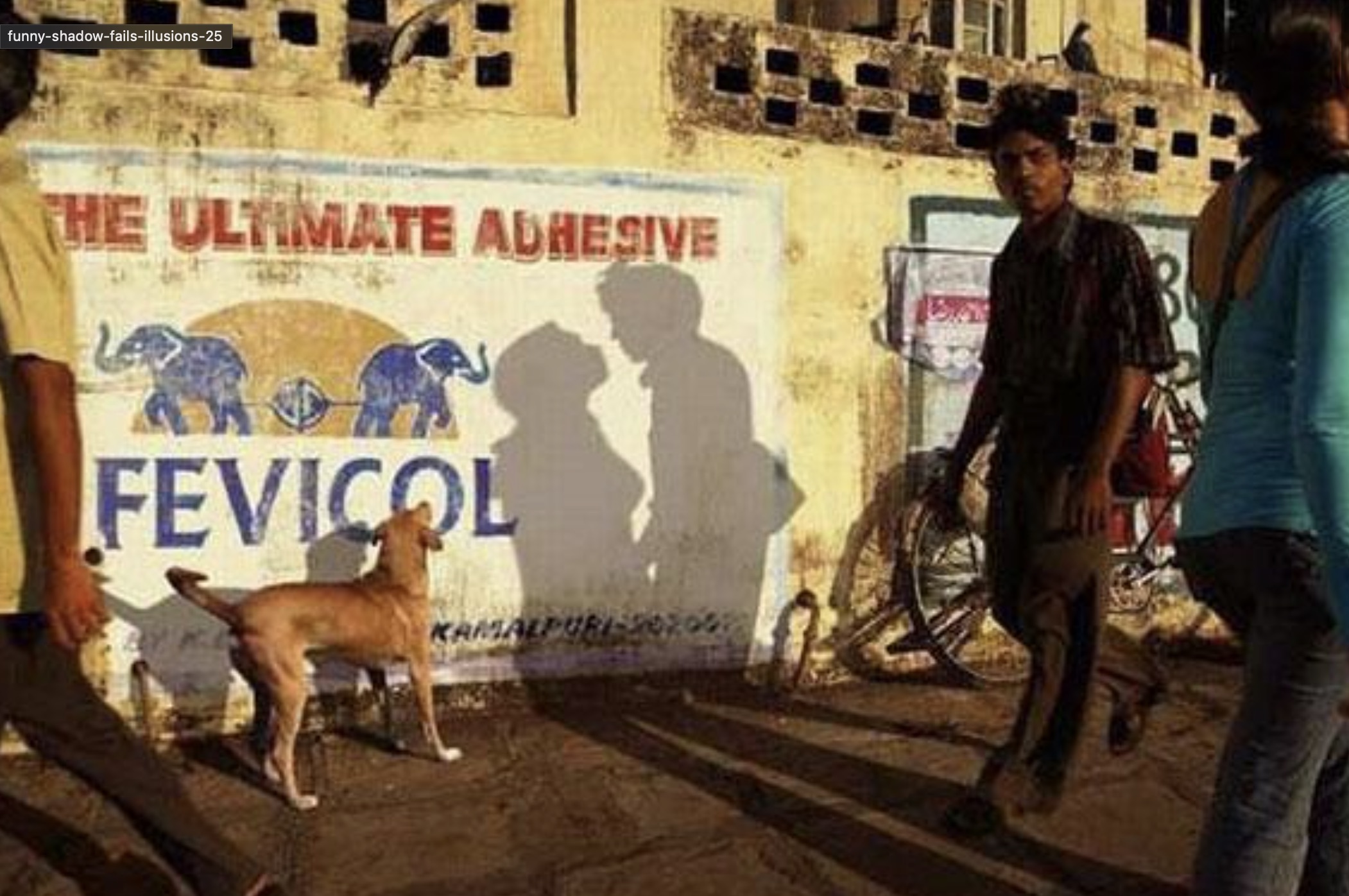 shadow kiss funny - funnyshadowfailsilusions25 The Ultimate Adhesive Fevicol Kamalpuri2020