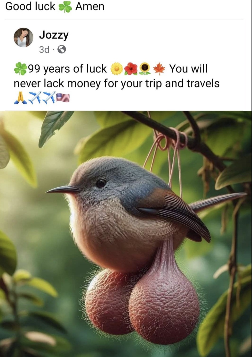 bird with balls - Good luck Amen Jozzy 3d. 99 years of luck You will never lack money for your trip and travels Axxo