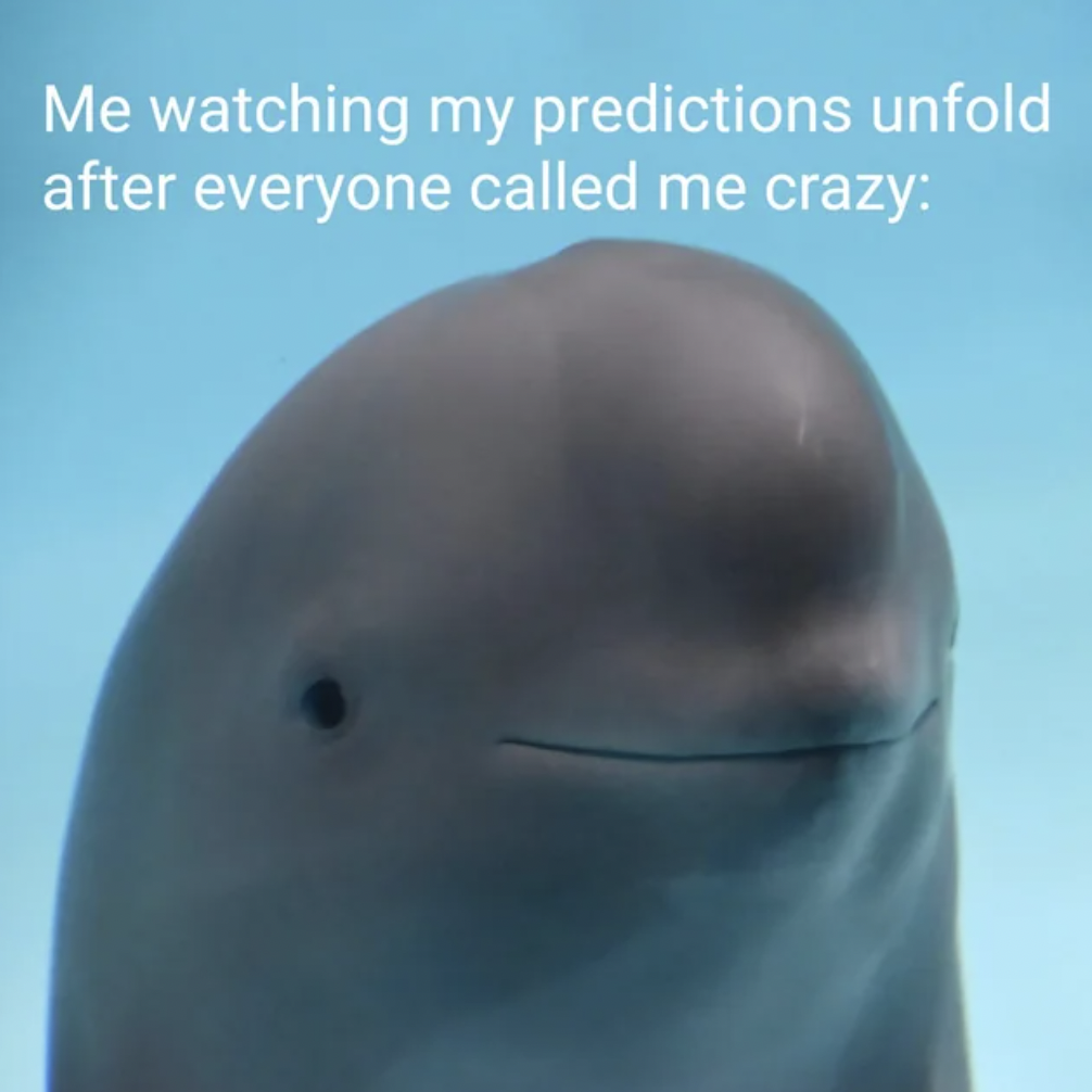 beluga whale - Me watching my predictions unfold after everyone called me crazy