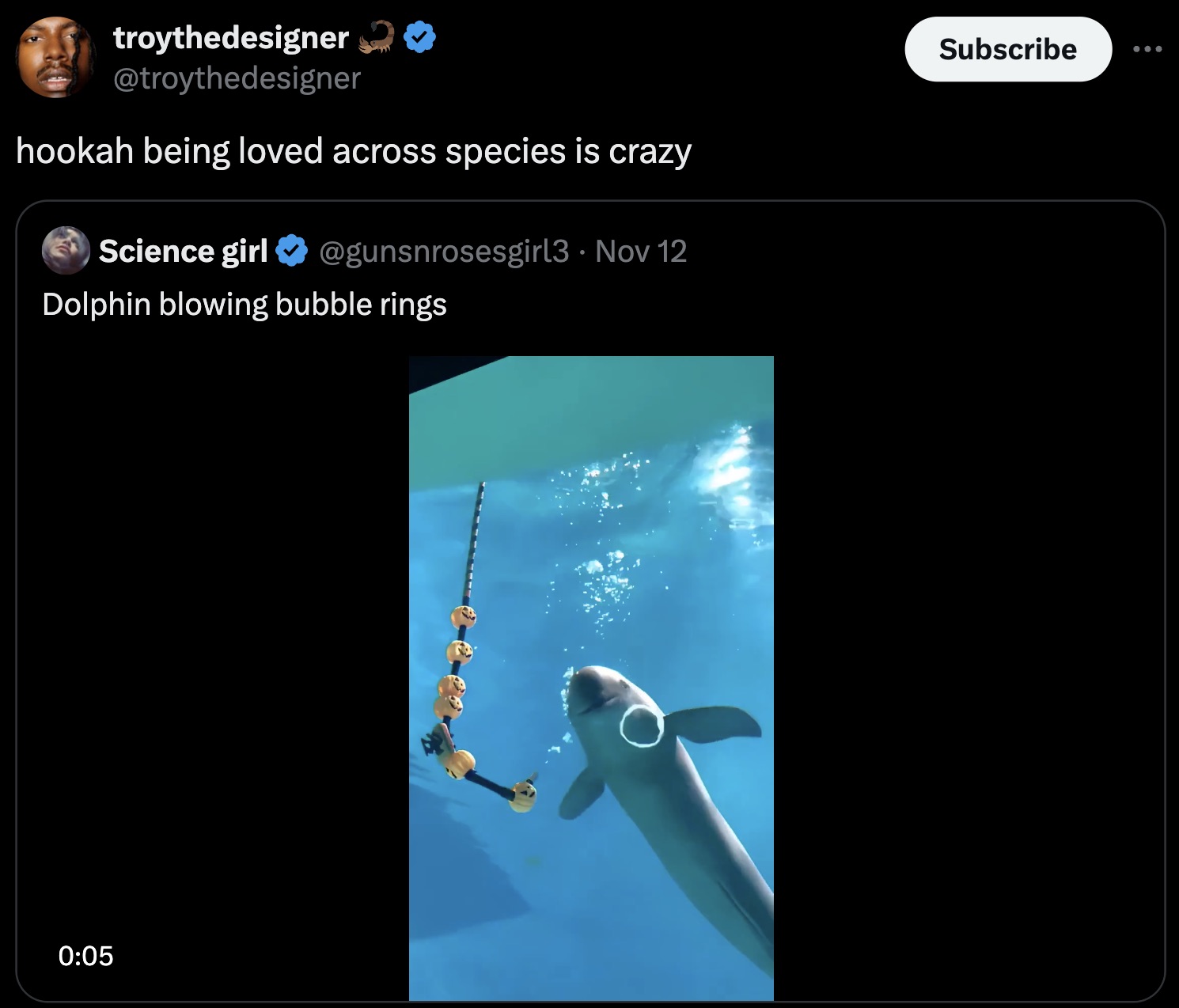 screenshot - troythedesigner hookah being loved across species is crazy Science girl Nov 12 Dolphin blowing bubble rings Subscribe