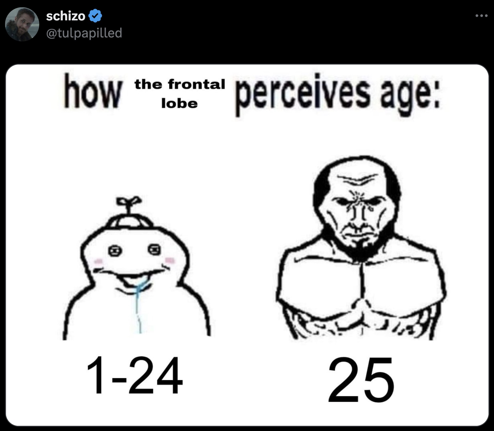 twitter perceives age meme - schizo how the frontal lobe perceives age 124 25