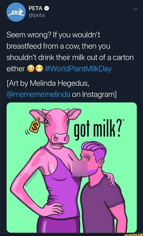 peta sexy cow - Peta Peta Seem wrong? If you wouldn't breastfeed from a cow, then you shouldn't drink their milk out of a carton either Art by Melinda Hegedus, on Instagram got milk? tsunny.co