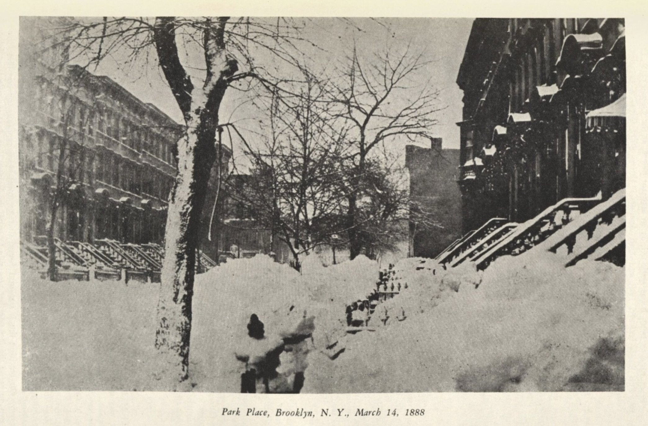 after the great blizzard of 1888 - Park Place, Brooklyn, N. Y.,