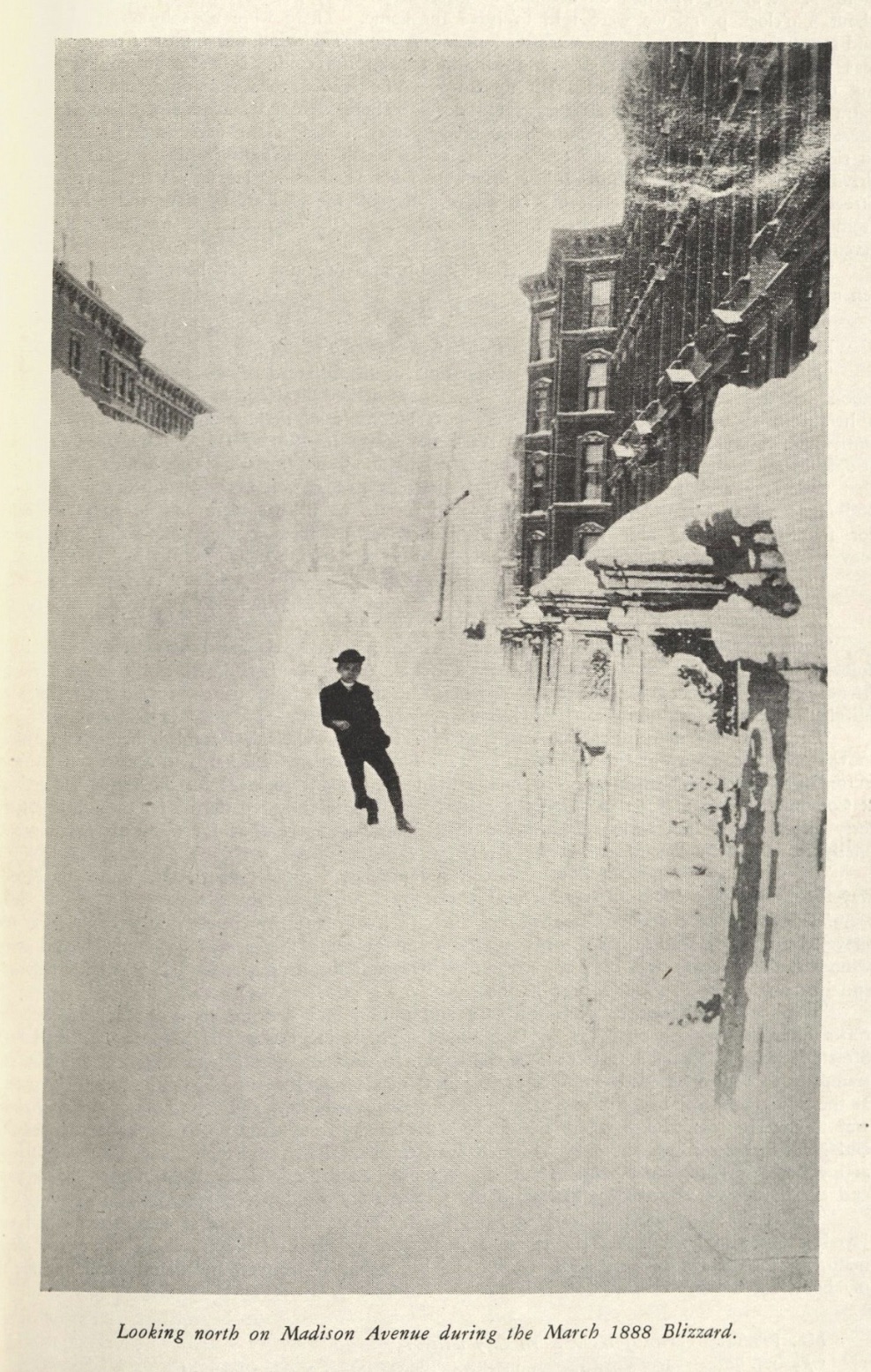 blizzard of 1888 in madison avenue - Looking north on Madison Avenue during the Blizzard