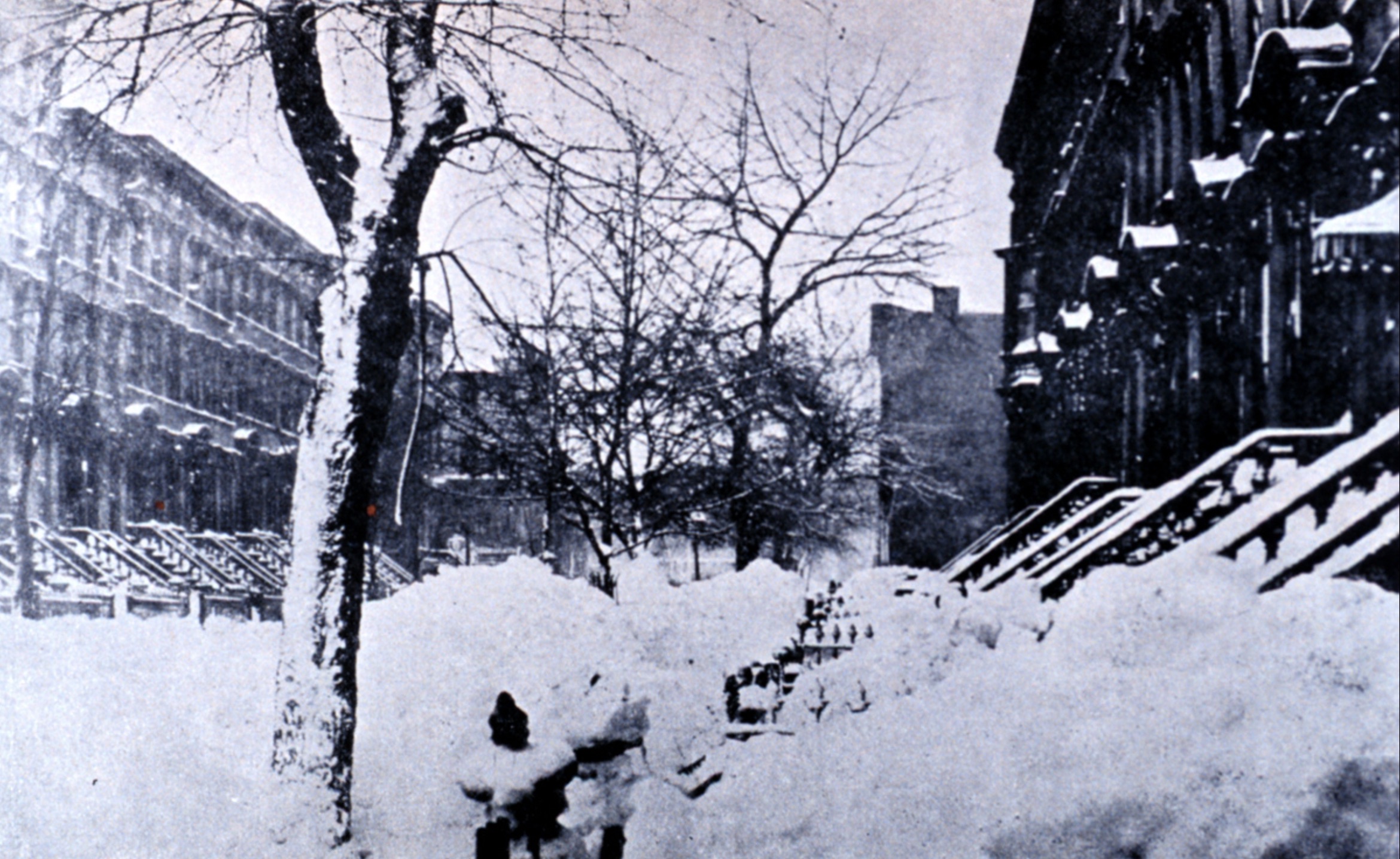 brooklyn blizzard 1888