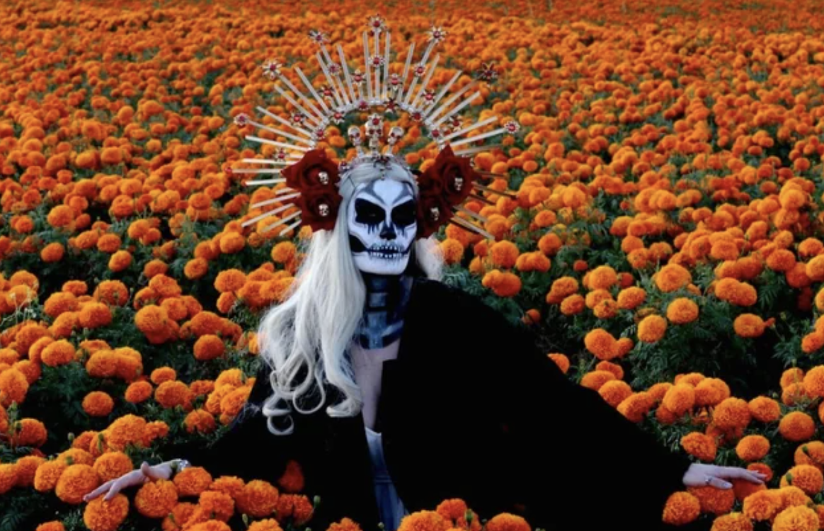 A performer as Catrina, with skull facepaint and bone headdress, wades through marigolds.