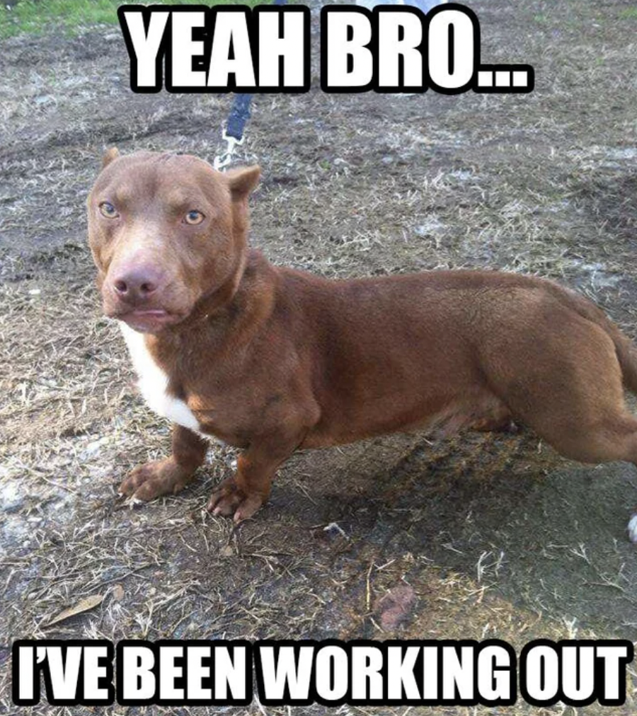 weiner pit meme - Yeah Bro... I'Ve Been Working Out