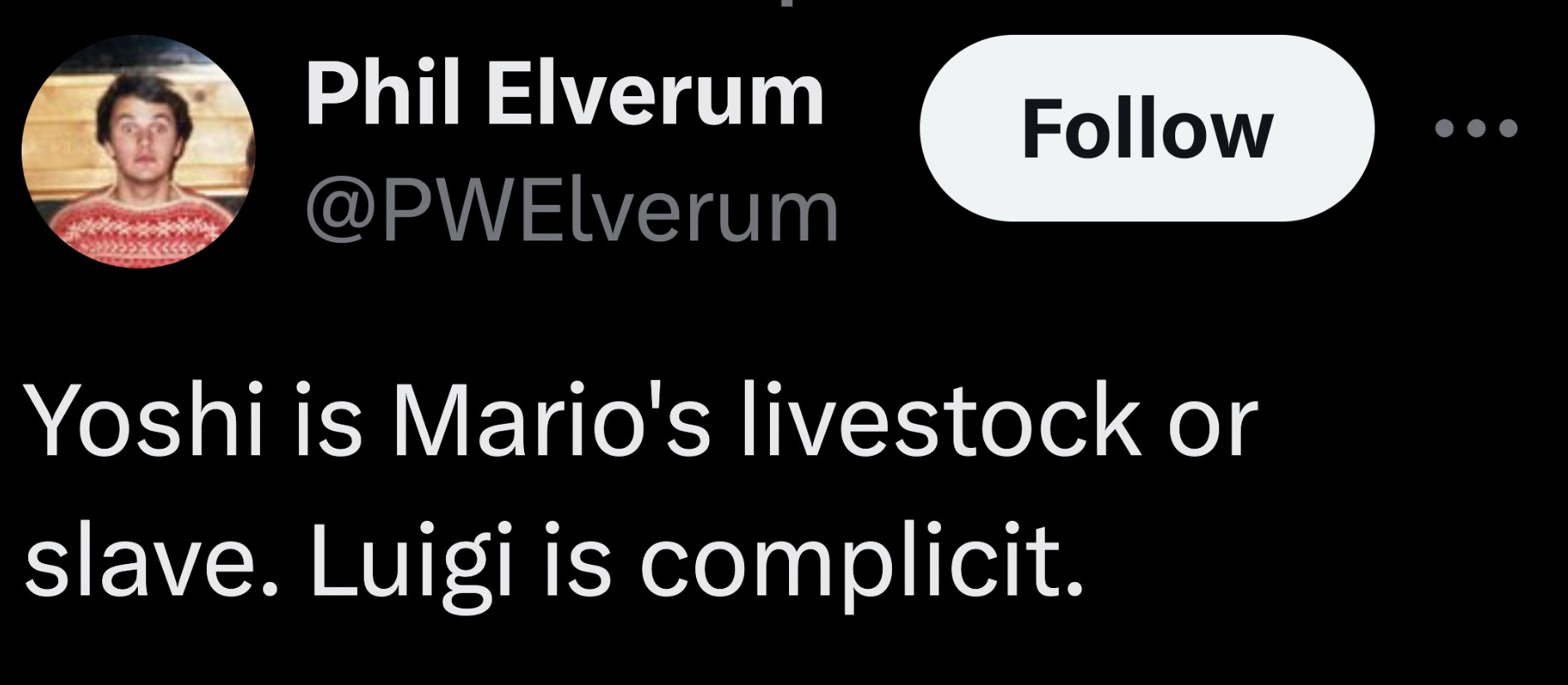 graphics - Phil Elverum Yoshi is Mario's livestock or slave. Luigi is complicit.