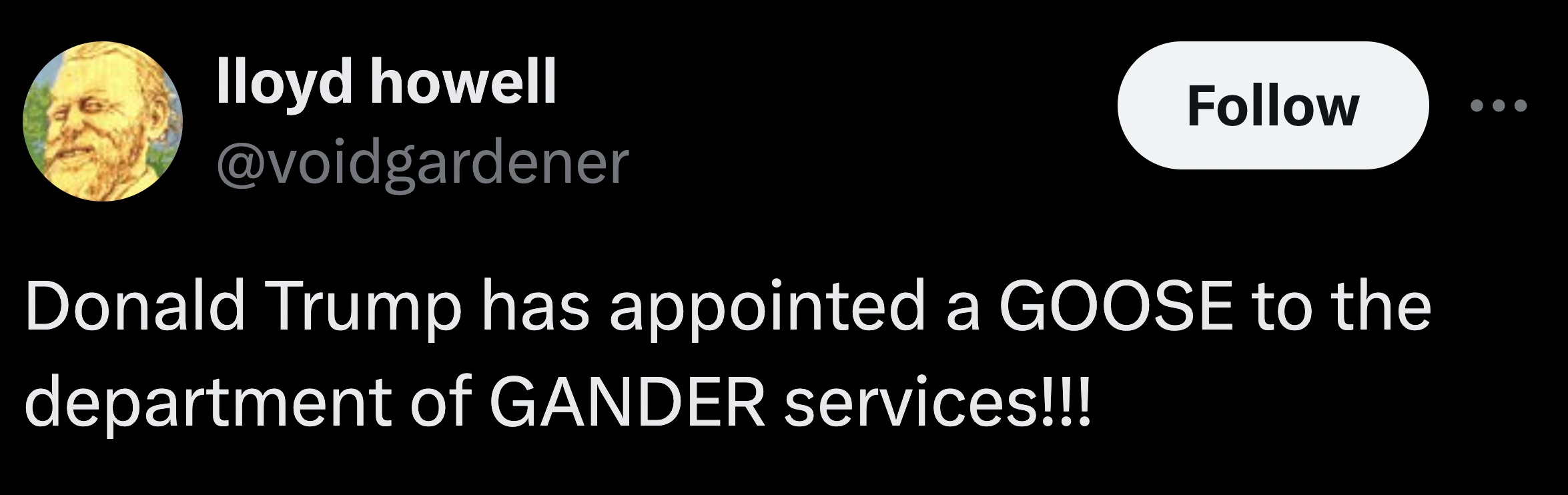 parallel - lloyd howell Donald Trump has appointed a Goose to the department of Gander services!!!