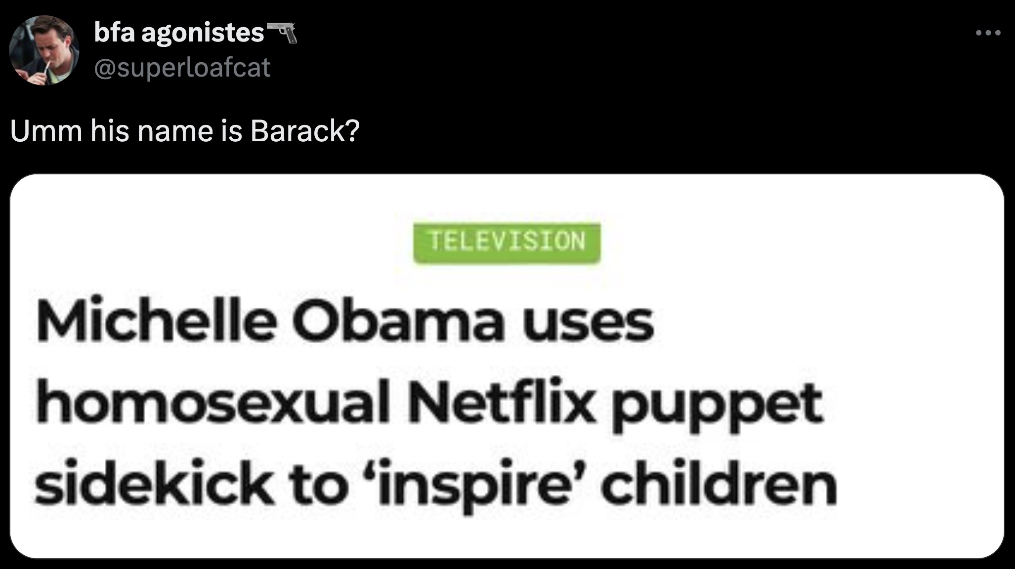 screenshot - bfa agonistes Umm his name is Barack? Television Michelle Obama uses homosexual Netflix puppet sidekick to 'inspire' children