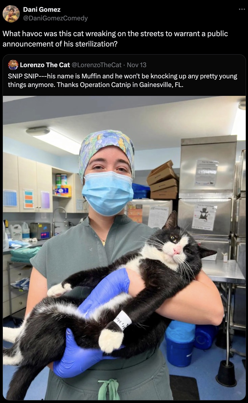 surgeon - r, Mu Dani Gomez What havoc was this cat wreaking on the streets to warrant a public announcement of his sterilization? Lorenzo The Cat Nov 13 Snip Sniphis name is Muffin and he won't be knocking up any pretty young things anymore. Thanks Operat