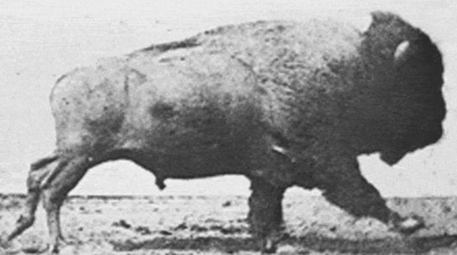 17 of History's Most Uncomfortable Atrocities | eBaum's World