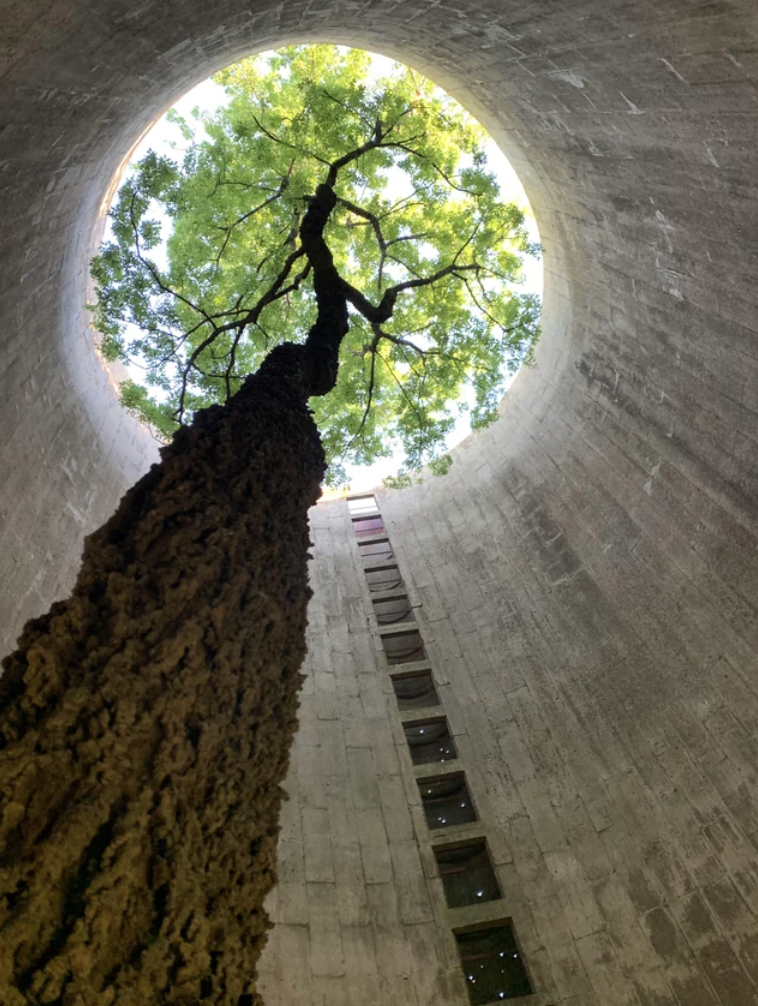 abandoned silos