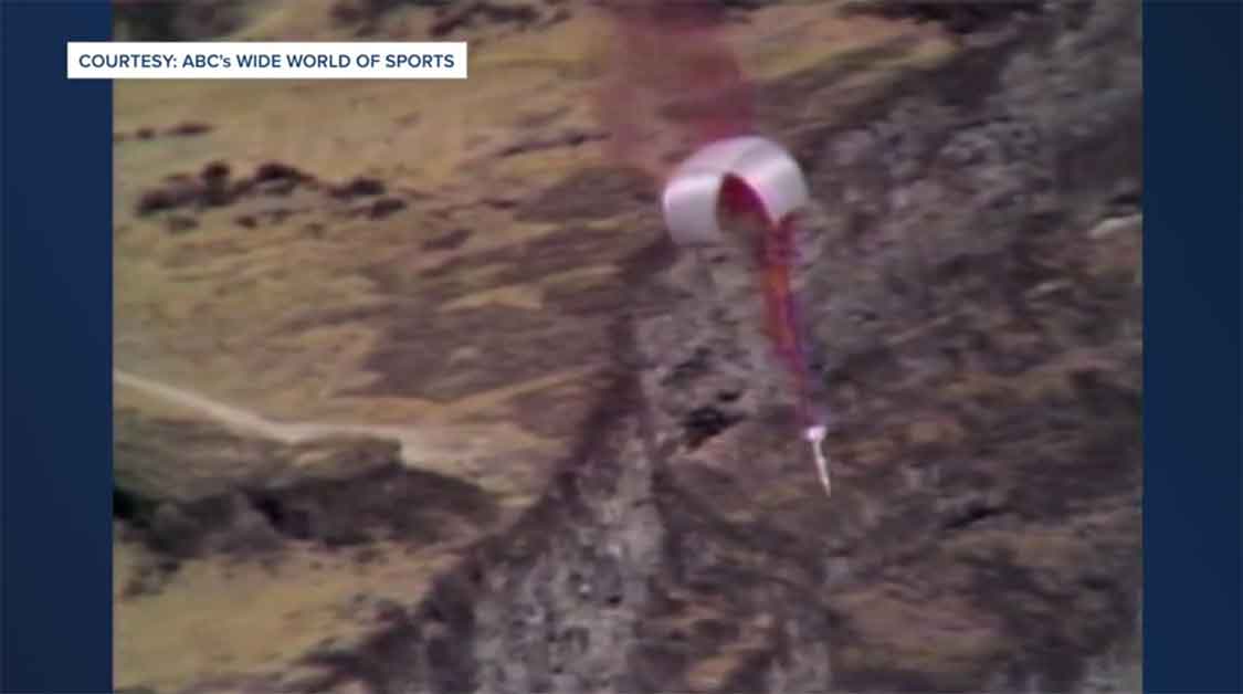 white stork - Courtesy Abc's Wide World Of Sports