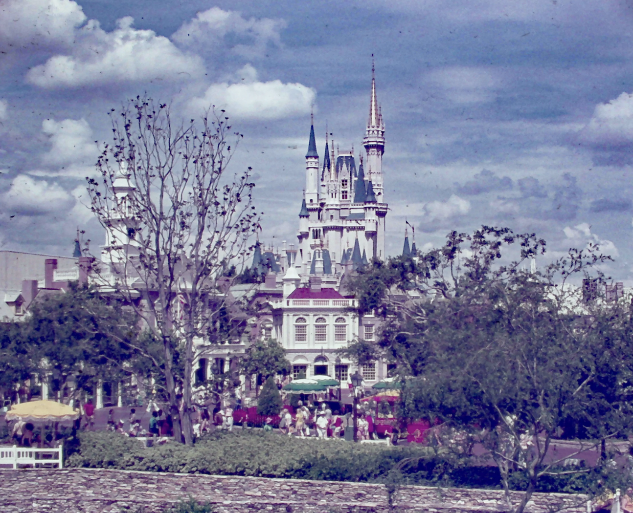 walt disney world