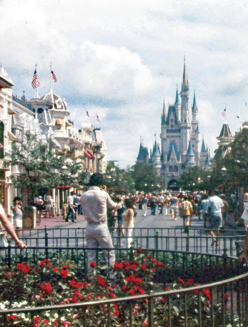 walt disney world