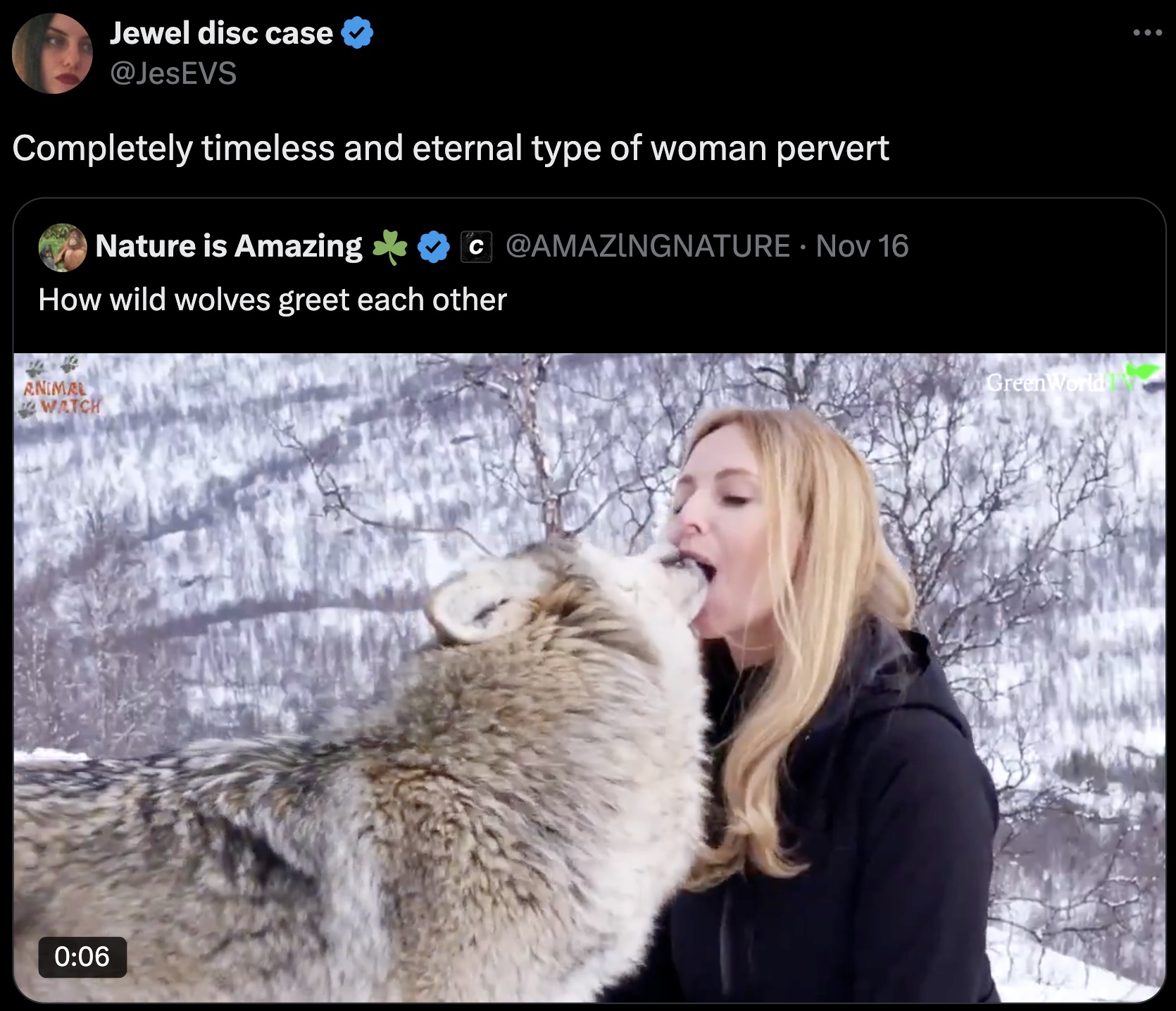 screenshot - Jewel disc case Completely timeless and eternal type of woman pervert Nature is Amazing C Nov 16 How wild wolves greet each other Green