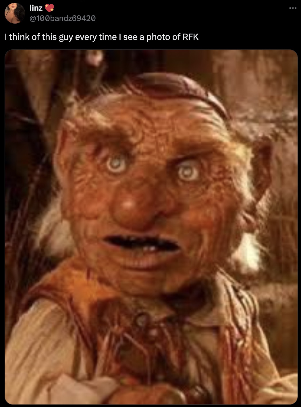 hoggle from labyrinth - I think of this guy every time I see a photo of Rfk linz 9