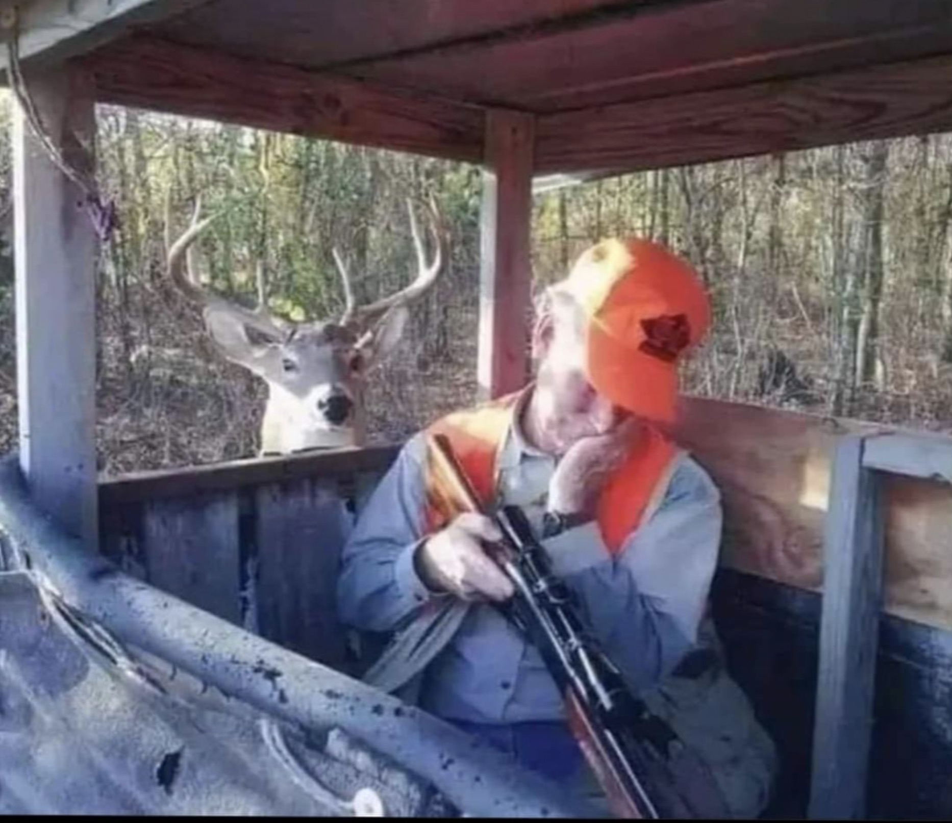 sleeping hunter with deer