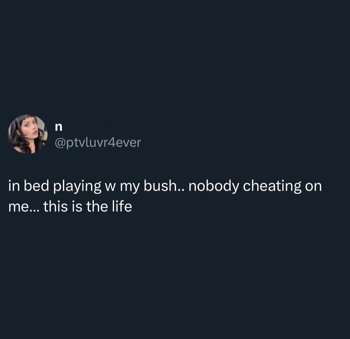 relationship memes and tweets - screenshot - n in bed playing w my bush.. nobody cheating on me... this is the life