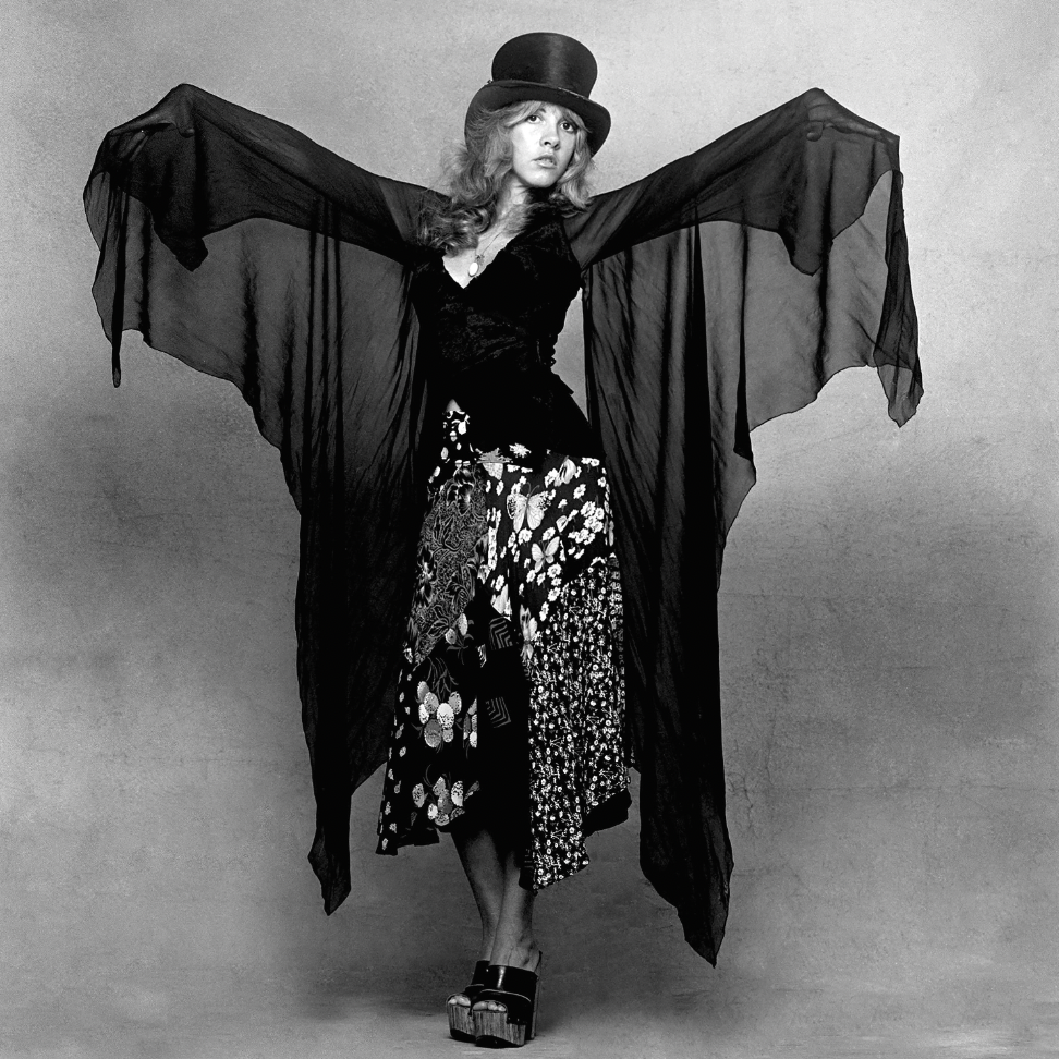 stevie nicks witchy