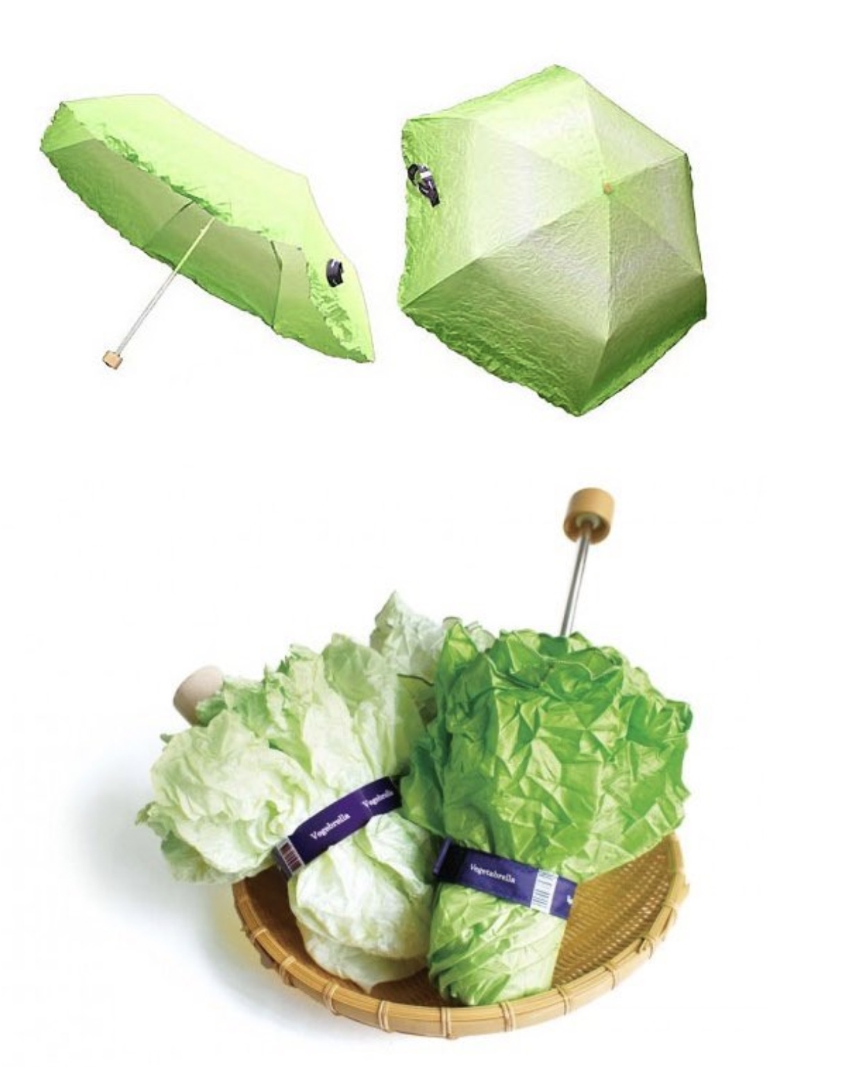 lettuce umbrella - Vognbrella Fed Vegetabrella