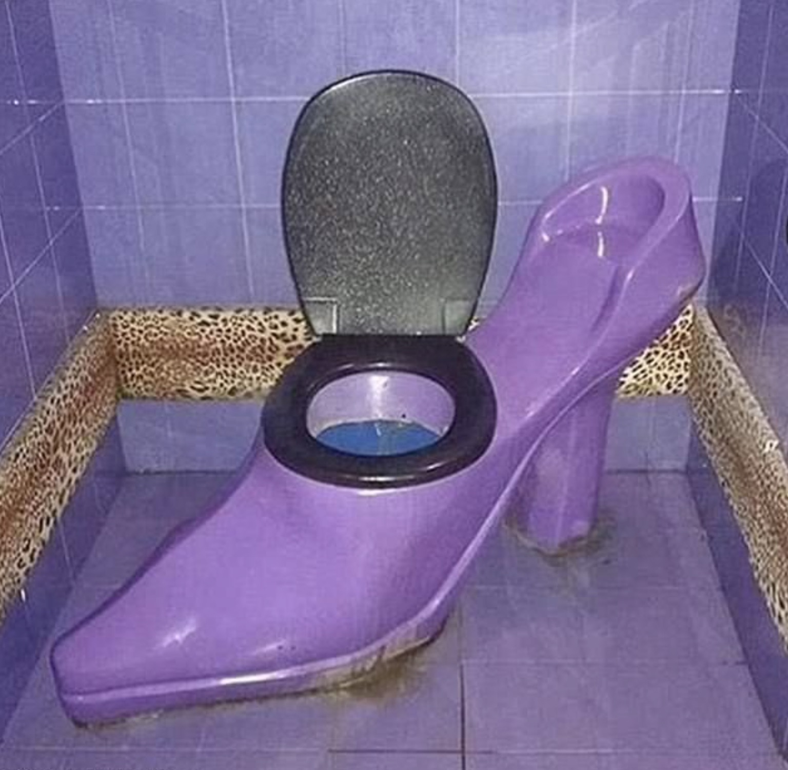 weird toilet